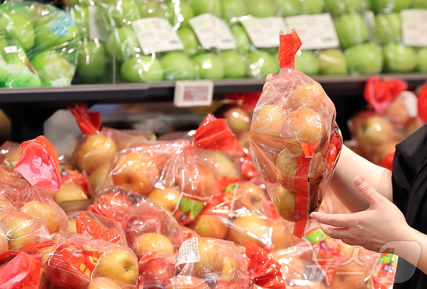 본문 이미지 - 서울 시내 한 대형마트에서 시민이 사과를 고르고 있다. 2025.7.31/뉴스1 ⓒ News1 김진환 기자
