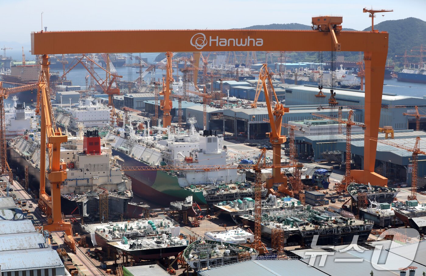 본문 이미지 - 대미 수출 관세 인하와 조선업 투자를 골자로 한 한미 무역 협상이 타결된 31일 경남 거제시 아주동 한화오션 거제사업장에 대형 크레인이 보이고 있다. 정부는 미국 도널드 트럼프 행정부와 무역 협상 합의에는 한국이 제안한 조선업 협력안인 &#39;마스가&#39;&#40;MASGA&#41; 프로젝트가 가장 크게 기여했다고 밝혔다. 2025.7.31/뉴스1 ⓒ News1 윤일지 기자