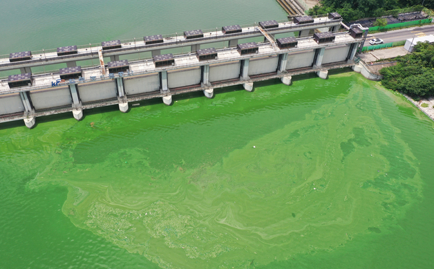 "위해성 확인 전부터 감시"…신종 오염물질 '관찰목록' 도입해 선제 대응