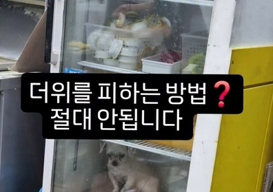 많이 본 뉴스