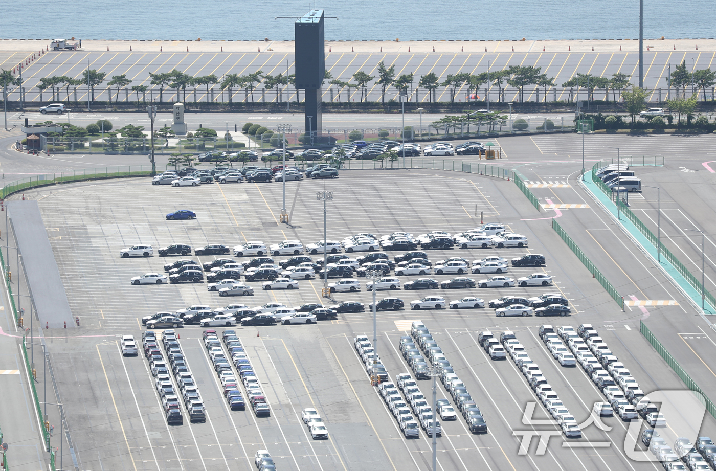 (울산=뉴스1) 조민주 기자 = 한미 무역 협상이 타결된 31일 현대자동차 울산공장 수출 선적부두 인근 야적장에 완성차들이 대기하고 있다.3만여명의 근로자가 일하는 현대자동차 울산 …