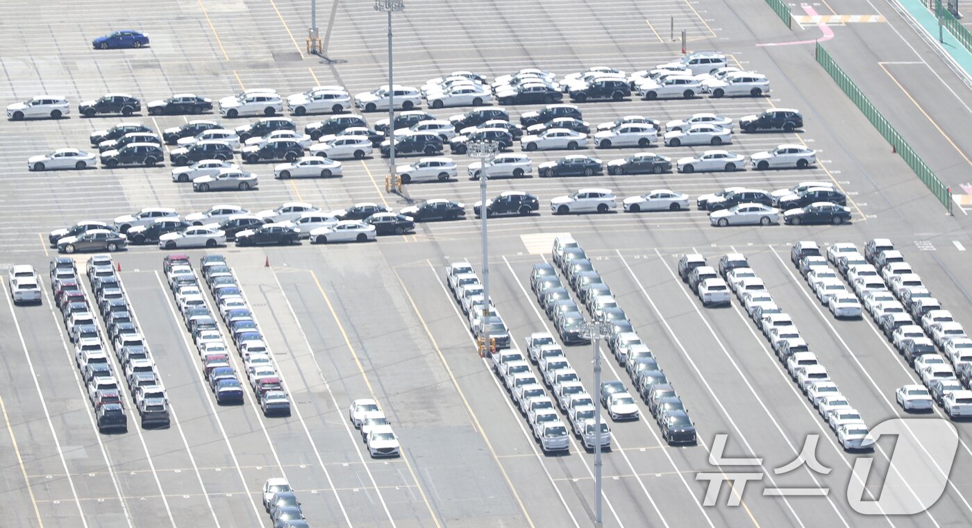 본문 이미지 - 7월 31일 현대자동차 울산공장 수출 선적부두 인근 야적장에 완성차들이 대기하고 있다. 2025.7.31/뉴스1 ⓒ News1 조민주 기자