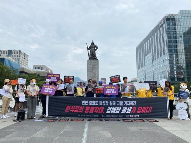동물단체 "반려동물 번식 허가는 '학대 허가'…루시법 제정해야"