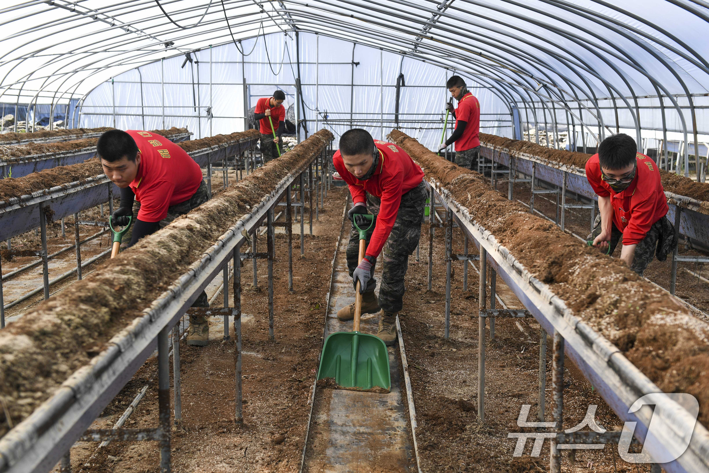 (포항=뉴스1) 최창호 기자 = 해병대 1사단이 집중 호우 피해 지역인 경남 산청군 단선면에서 복구작전을 실시하고 있다.해병대 신속기동부대 소속 장병 500여명을 투입 지난 24일 …
