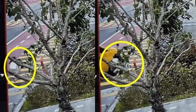 우회전 통학 차량, 초등생 '쾅'…구호 조처 없이 떠나