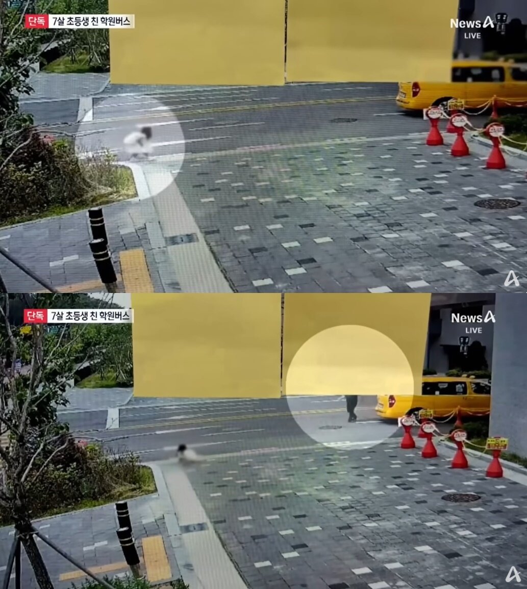 본문 이미지 - (채널A 갈무리)