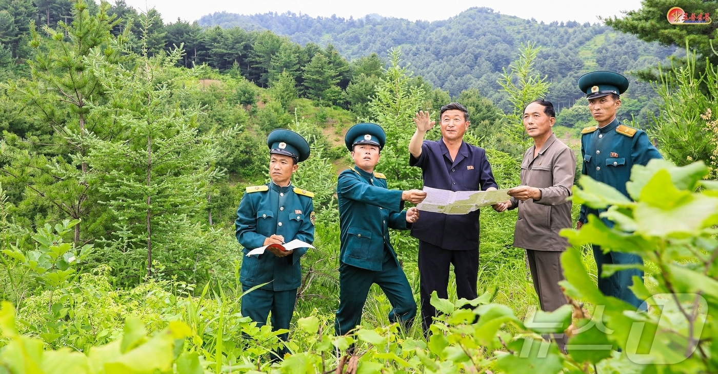 (평양 노동신문=뉴스1) = 북한 노동당 기관지 노동신문은 4일 천마군에서 수백 정보의 기름나무림을 새로 조성했다고 보도했다. [국내에서만 사용가능. 재배포 금지. DB 금지. F …