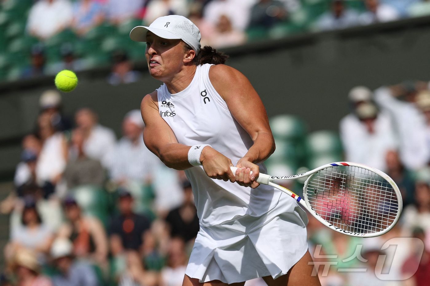 본문 이미지 - 이가 시비옹테크.ⓒ AFP=뉴스1