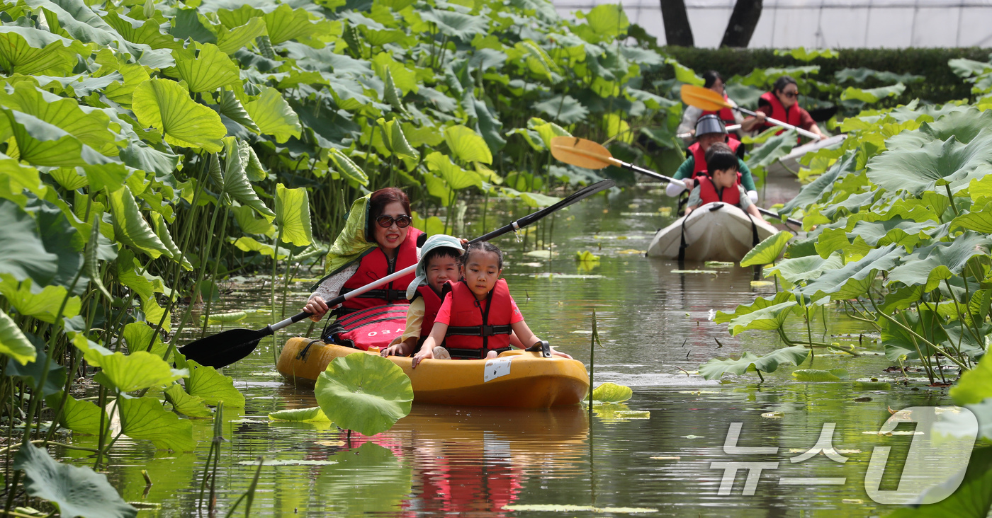 (부여=뉴스1) 김기태 기자 = 4일 충남 부여 서동공원(궁남지)에서 진행되는 부여서동연꽃축제에서 관광객들이 카누체험을 하며 즐거운 시간을 보내고 있다.부여서동연꽃축제는 4일부터 …