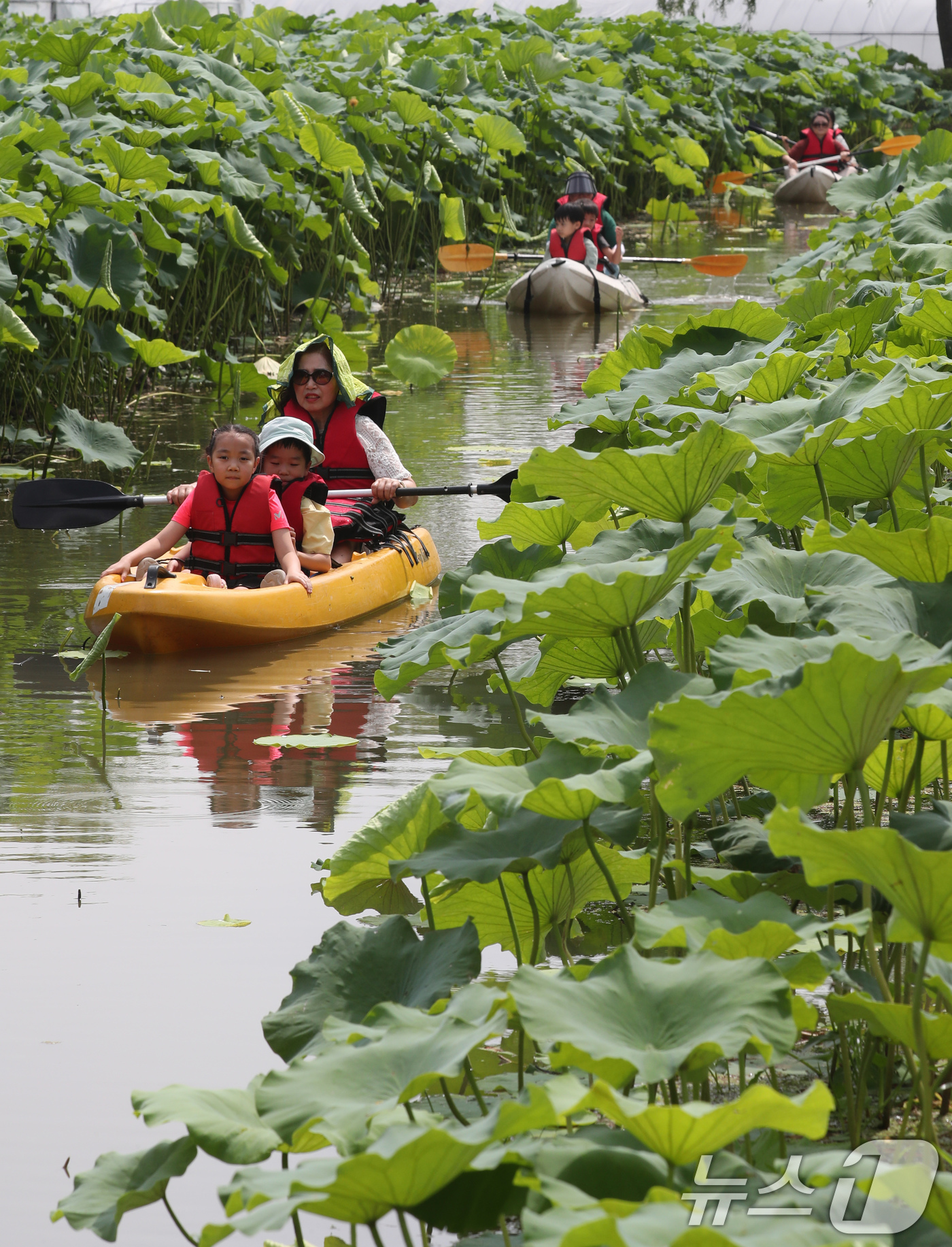 (부여=뉴스1) 김기태 기자 = 4일 충남 부여 서동공원(궁남지)에서 진행되는 부여서동연꽃축제에서 관광객들이 카누체험을 하며 즐거운 시간을 보내고 있다.부여서동연꽃축제는 4일부터 …