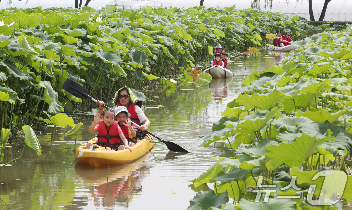 (부여=뉴스1) 김기태 기자 = 4일 충남 부여 서동공원(궁남지)에서 진행되는 부여서동연꽃축제에서 관광객들이 카누체험을 하며 즐거운 시간을 보내고 있다.부여서동연꽃축제는 4일부터 …