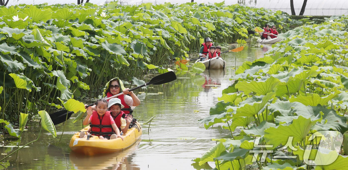 본문 이미지 - 4일 충남 부여 서동공원(궁남지)에서 진행되는 부여서동연꽃축제에서 관광객들이 카누체험을 하며 즐거운 시간을 보내고 있다. 부여서동연꽃축제는 4일부터 6일까지 '연꽃같은 그대와, 아름다운 사랑을' 주제로 사랑과 힐링의 메시지를 다양한 공연과 체험, 문화 콘텐츠로 관람객들에게 풍성한 볼거리와 즐길 거리를 선보인다. 2025.7.4/뉴스1 ⓒ News1 김기태 기자