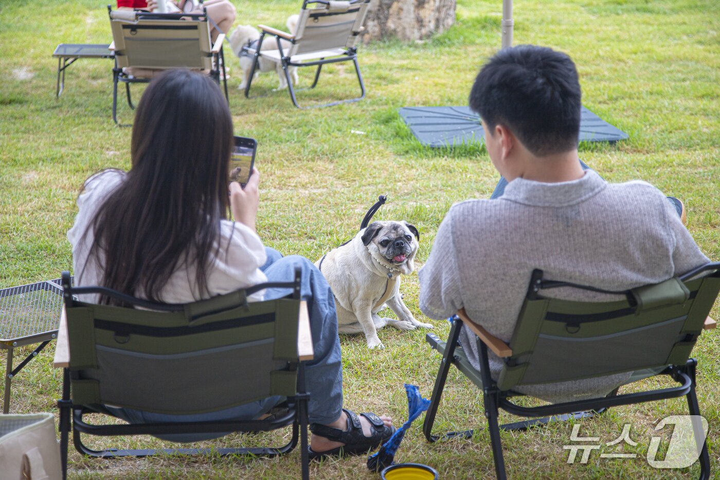 본문 이미지 - 여름에 더욱 신나는 곳 &#39;남양주 더드림핑&#39;.&#40;경기관광공사 제공. 재판매 및 DB금지&#41;/뉴스1