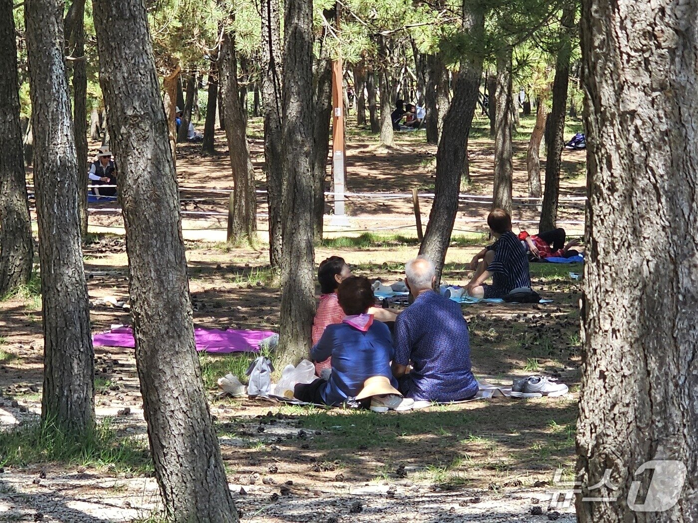 본문 이미지 - 5일 낮 부산 다대포 해수욕장 해변공원을 찾은 시민들이 자리를 펴고 휴식을 취하고 있다. ⓒ 뉴스1 박민석 기자