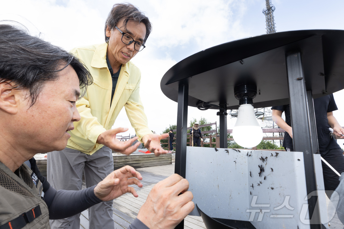 (서울=뉴스1) = 금한승 신임 환경부 차관이 5일 인천 계양산에서 러브버그 방제상황을 점검하고 있다. (환경부 제공. 재판매 및 DB 금지) 2025.7.5/뉴스1