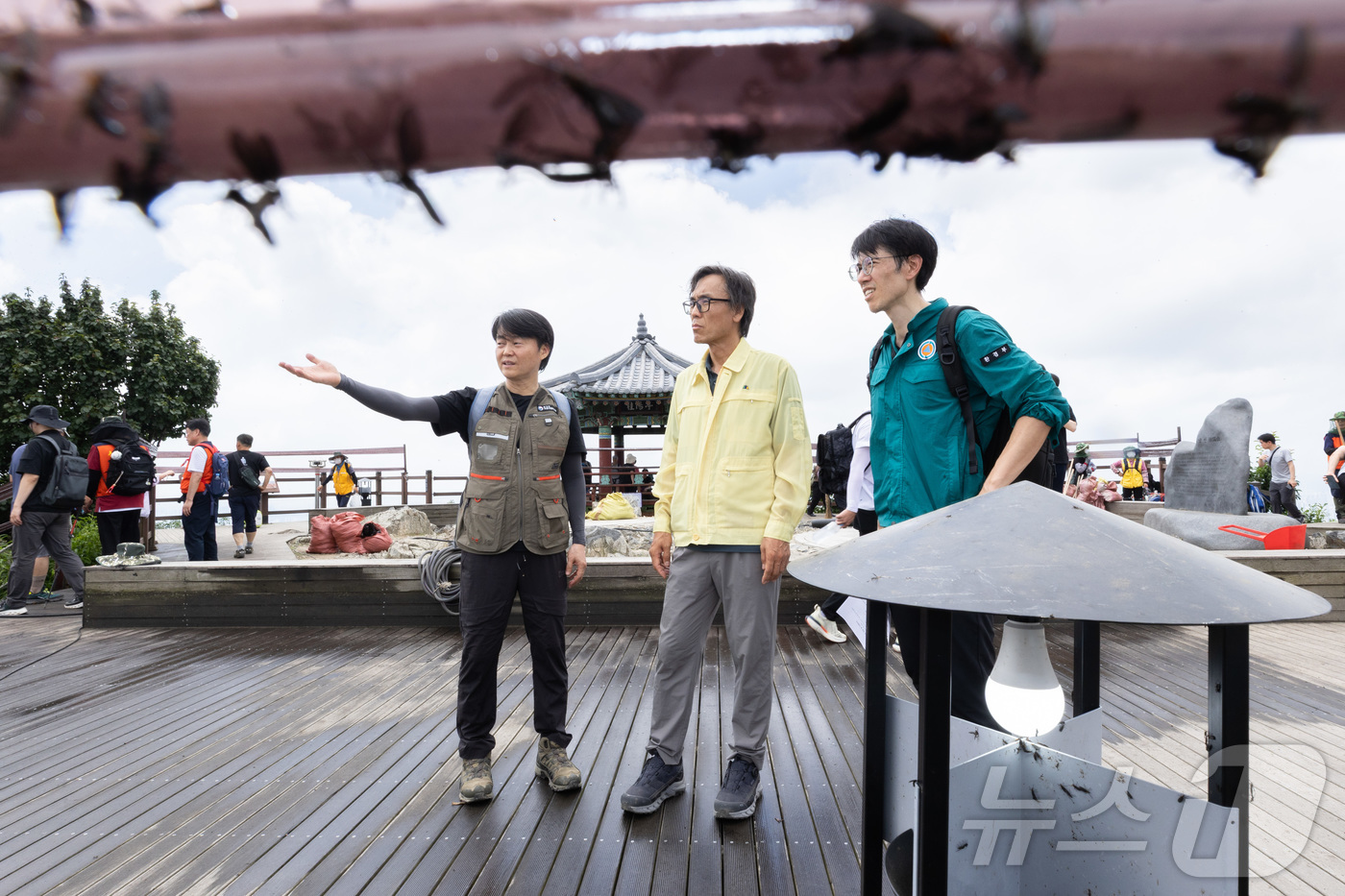 (서울=뉴스1) = 금한승 신임 환경부 차관이 5일 인천 계양산에서 러브버그 방제상황을 점검하고 있다. (환경부 제공. 재판매 및 DB 금지) 2025.7.5/뉴스1