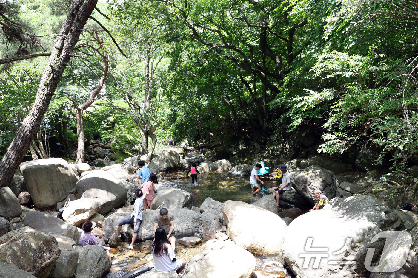 (광주=뉴스1) 박지현 기자 = 폭염특보가 발효된 5일 오전 광주 북구 금곡동 무등산 원효사 계곡을 찾은 피서객이 계곡 물에 발을 담그며 더위를 식히고 있다. 2025.7.5/뉴스 …