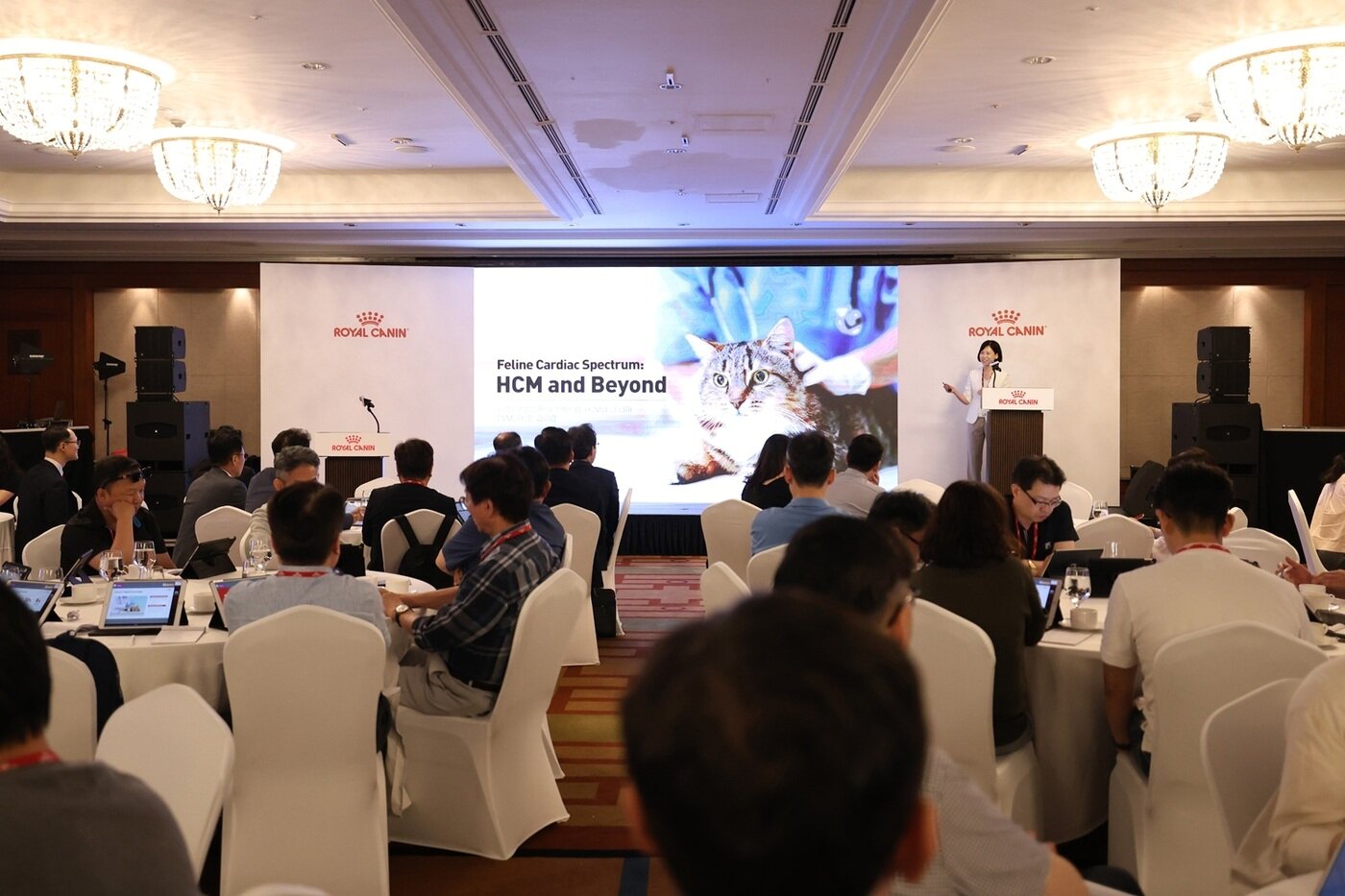 본문 이미지 - 김미령 이승진동물의료센터 마이캣클리닉 원장이 로얄캐닌 심포지엄에서 강연하고 있다&#40;로얄캐닌 제공&#41;. ⓒ 뉴스1