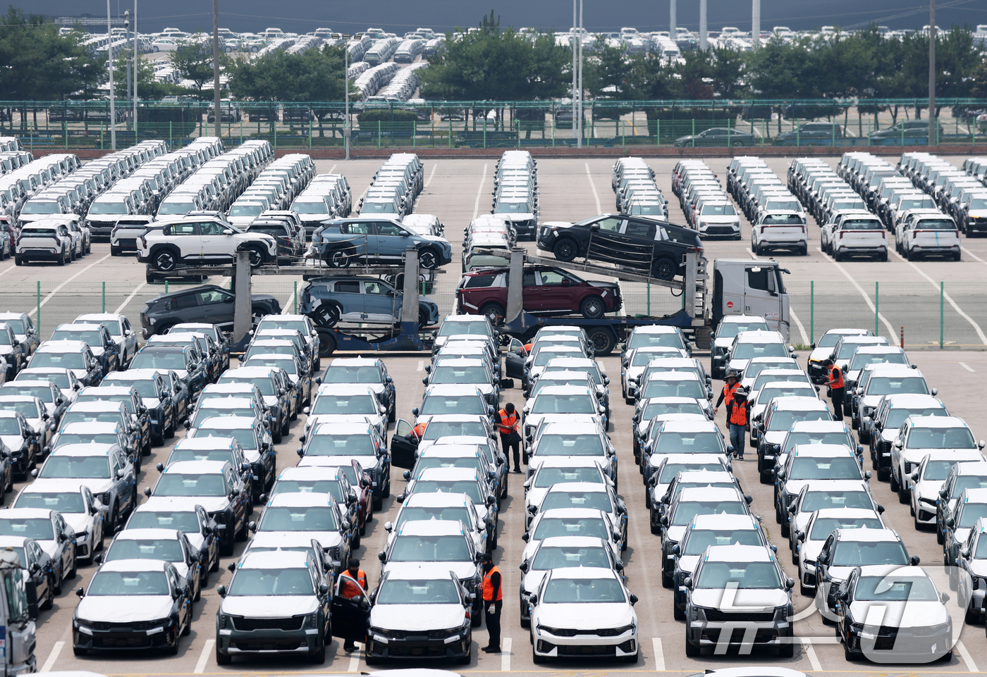 (평택=뉴스1) 김영운 기자 = 한국 정부가 도널드 트럼프 미국 행정부가 중국을 겨냥해 추진 중인 자동차 운반선에 대한 항만 입항료(port entry fee) 부과 조치에서 한국 …