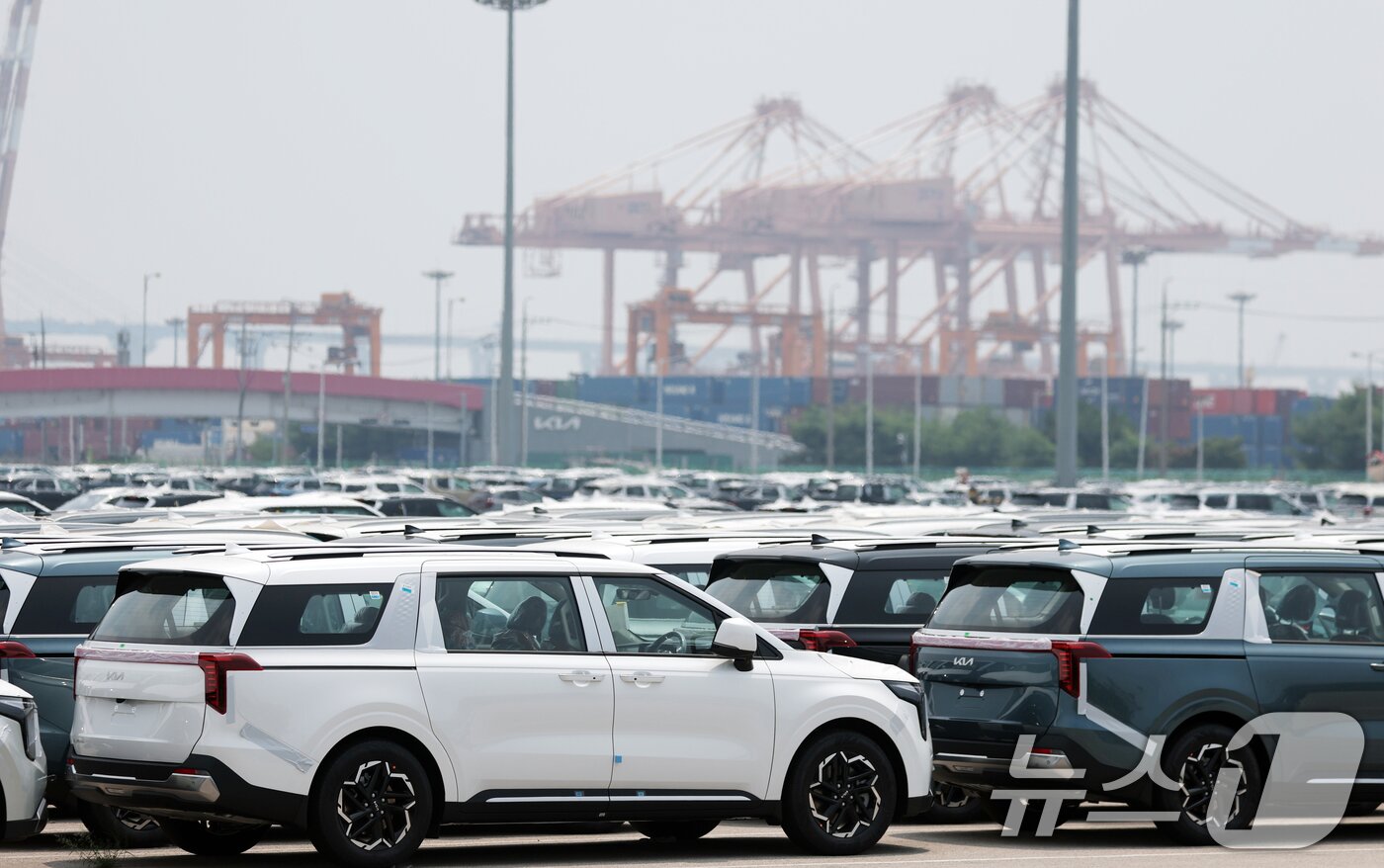 본문 이미지 - 경기 평택시 포승읍 평택항에 수출용 차량들이 세워져 있는 모습. 2025.7.7/뉴스1 ⓒ News1 김영운 기자