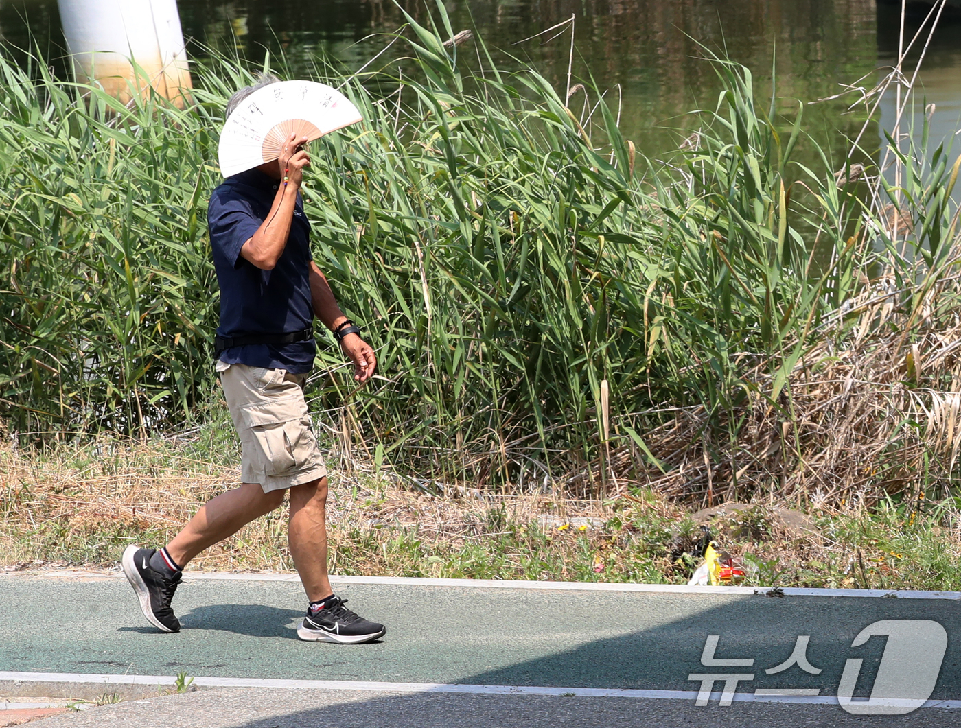 (부산=뉴스1) 윤일지 기자 = 절기상 본격적인 더위가 시작된다는 소서(小暑)인 7일 오후 부산 동래구 원동교 하부 인근에서 한 시민이 부채로 햇빛을 가리며 이동하고 있다.  20 …