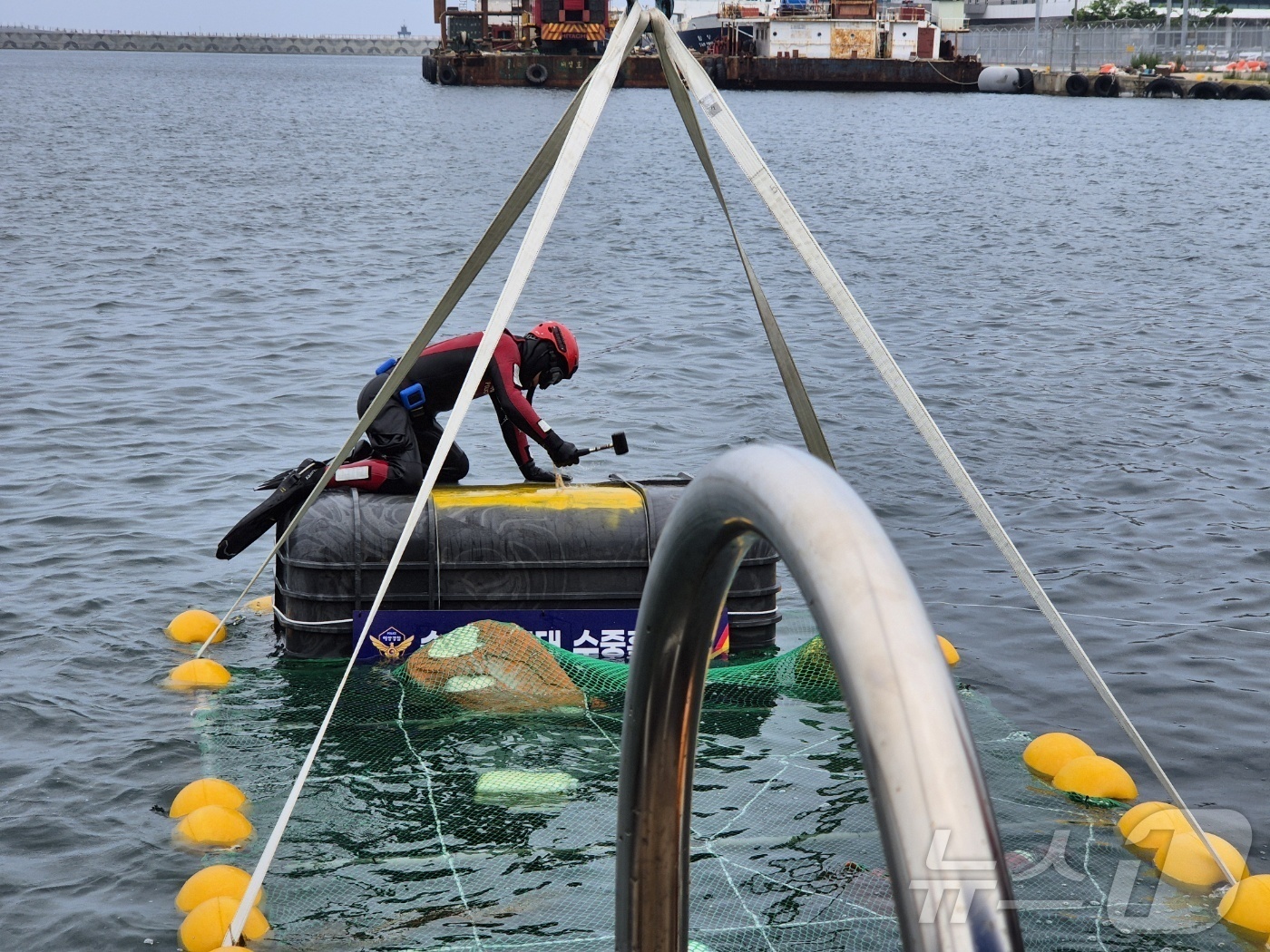 (속초=뉴스1) 윤왕근 기자 = 본격적인 여름 행락철이 시작된 7일 강원 속초시 속초해양경찰서 전용부두 인근 해상에서 해양경찰이 인명 구조·구급 대응 훈련을 실시하고 있다. 202 …