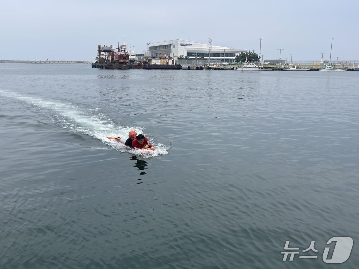 본문 이미지 - 지난 7일 오후 강원 속초 속초해경 전용부두 인근 해상에서 진행된 구조·구급 대응 훈련에 동참한 기자. 결국 요구조자가 돼 구조대원에 이끌려 물 밖으로 나오고 있다.&#40;속초해경 제공, 재판매 및 DB 금지&#41; 2025.7.8/뉴스1