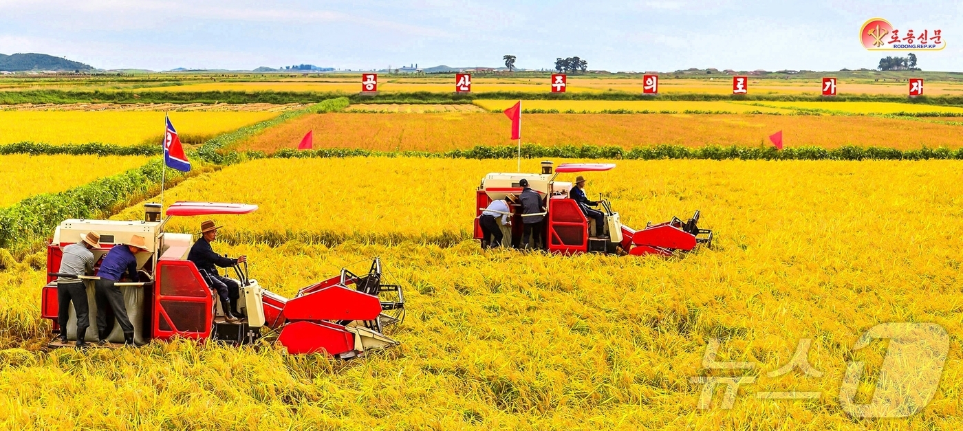 (평양 노동신문=뉴스1) = 북한 노동당 기관지 노동신문은 8일 김일성 31주기를 맞아 나라가 눈부시게 변했다며 "대대로 위대한 수령을 모시여 우리의 생활은 나날이 좋아지고 우리의 …