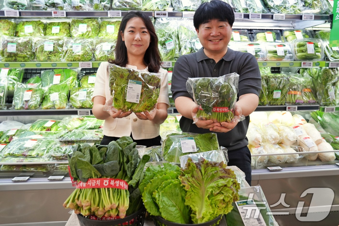 (서울=뉴스1) = 롯데마트는 폭염으로 인한 잎채소 수급 불안을 해소하고, 고객에게 신선한 채소를 합리적인 가격에 제공하고 오는 10일부터 전 점에서 'CA저장 시금치'와 '스마트 …