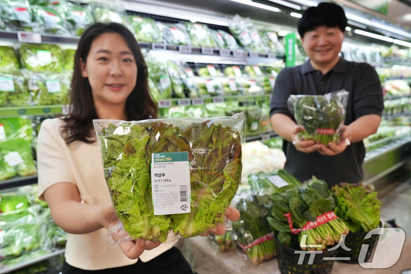 (서울=뉴스1) = 롯데마트는 폭염으로 인한 잎채소 수급 불안을 해소하고, 고객에게 신선한 채소를 합리적인 가격에 제공하고 오는 10일부터 전 점에서 'CA저장 시금치'와 '스마트 …