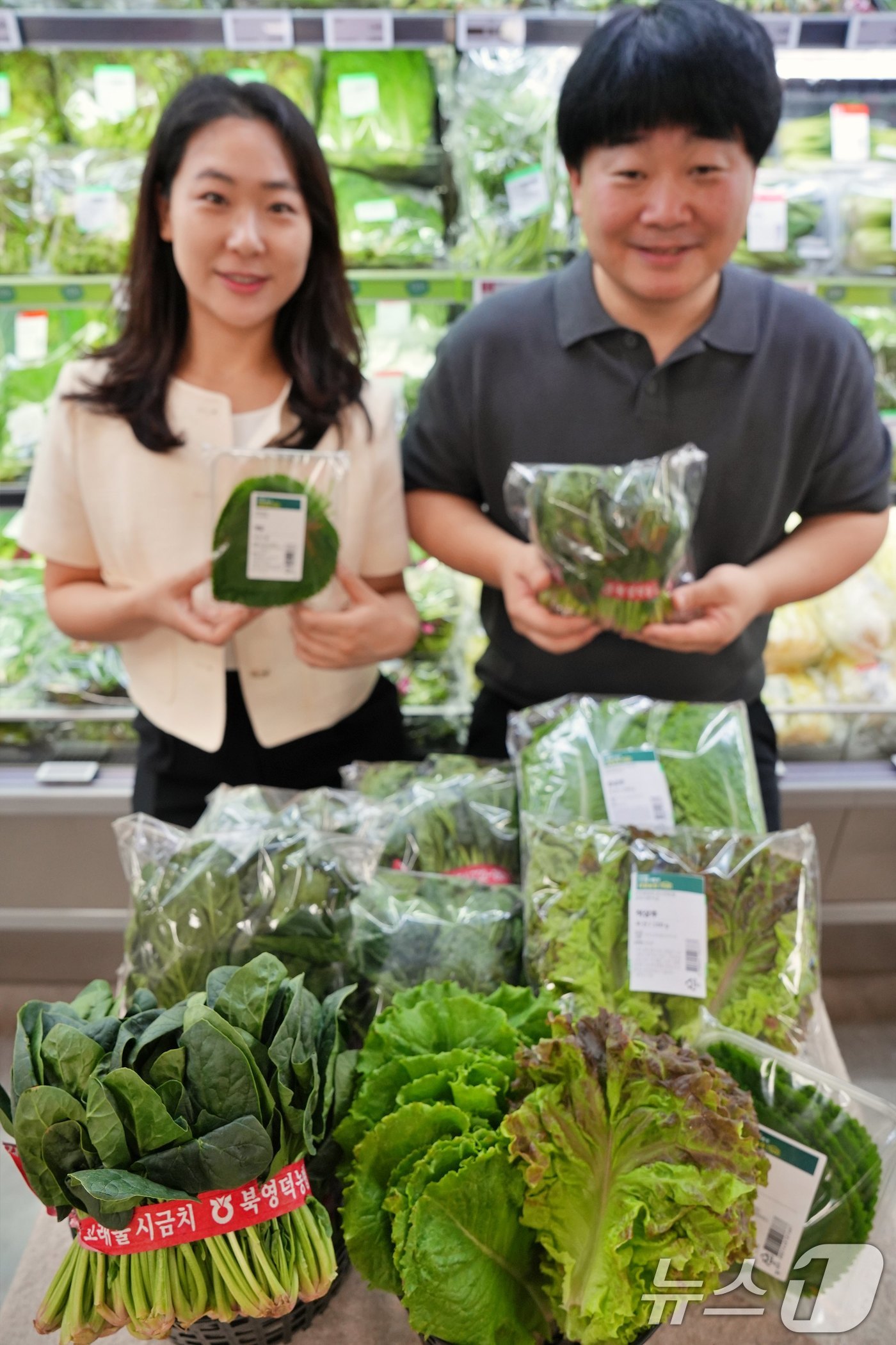 (서울=뉴스1) = 롯데마트는 폭염으로 인한 잎채소 수급 불안을 해소하고, 고객에게 신선한 채소를 합리적인 가격에 제공하고 오는 10일부터 전 점에서 'CA저장 시금치'와 '스마트 …