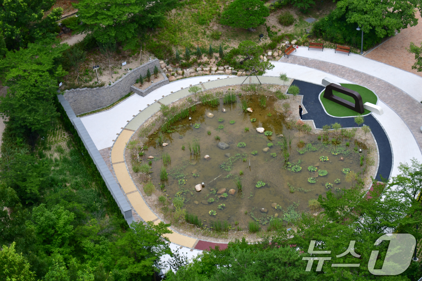 (포항=뉴스1) 최창호 기자 = 8일 경북 포항시청사 뒷편에 조성된 작은 연못을 찾은 시민이 잠시 쉬어가고 있다. 2025.7.8/뉴스1