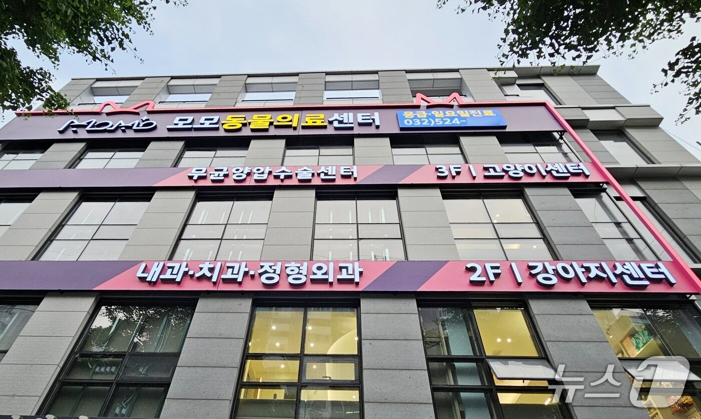 본문 이미지 - 모모동물의료센터 전경 ⓒ 뉴스1 최서윤 기자