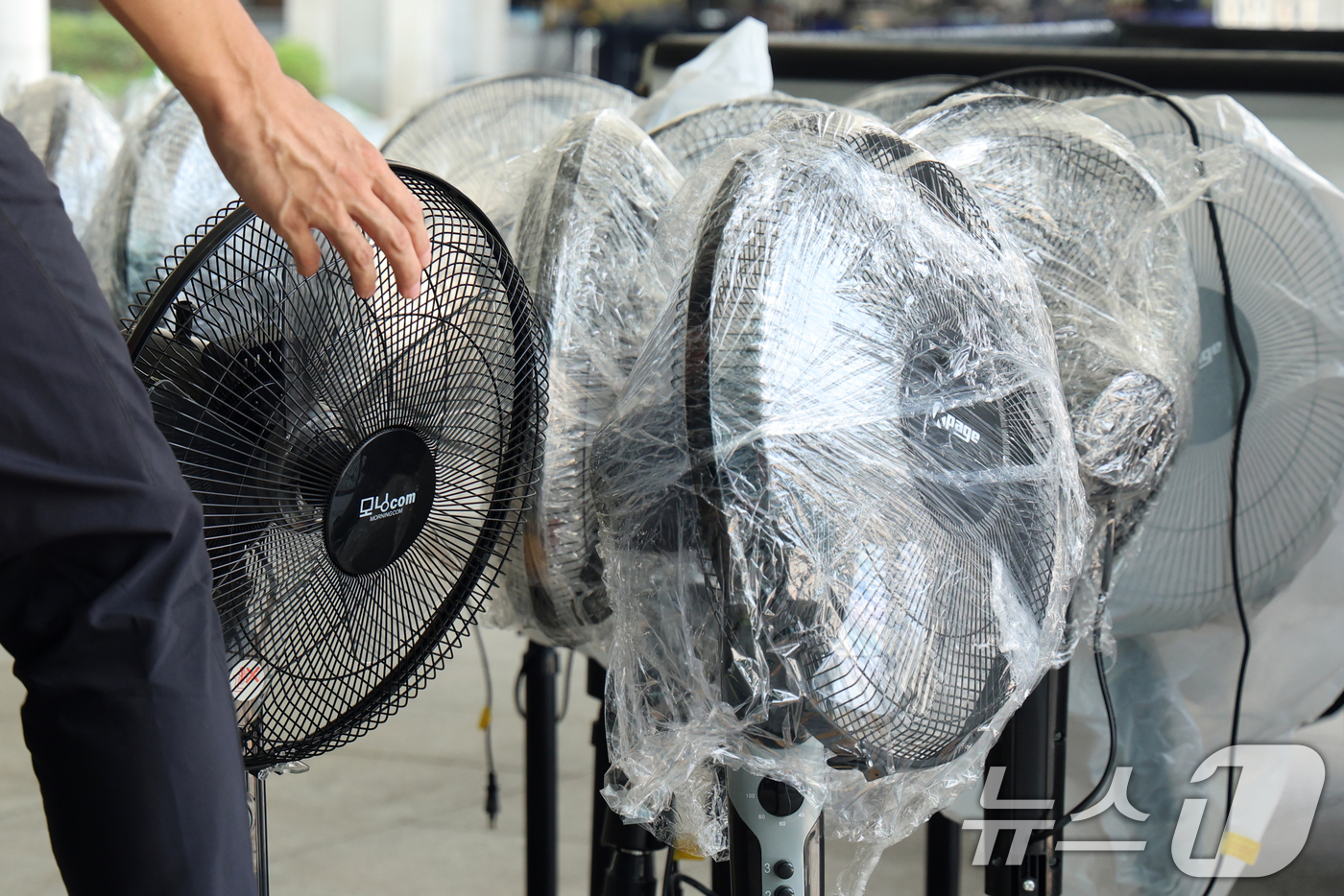 (서울=뉴스1) 황기선 기자 = 전국에 폭염특보가 발효된 8일 오후 서울 서초구 서울고등검찰청에 마련된 조은석 특별검사(내란특검 특검) 사무실 앞에서 관계자들이 선풍기를 특검 사무 …