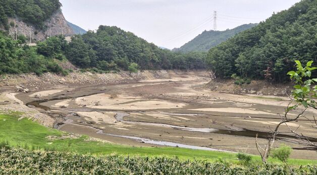 바닥 드러낸 강릉 도마천