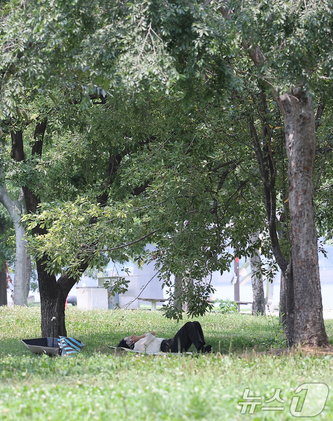 (서울=뉴스1) 김성진 기자 = 전국 대부분 지역에서 최고 체감온도가 35도 안팎으로 오르며 무더운 날씨가 이어진 8일 서울 영등포구 여의도공원을 찾은 시민 시민이 무더위를 피하고 …