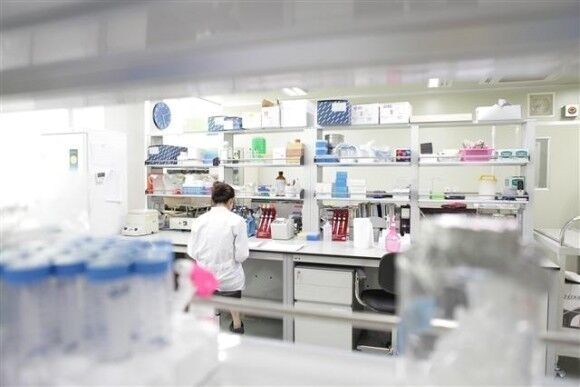 신라젠, 항암제 'BAL0891' 오가노이드 모델서 효능 확인