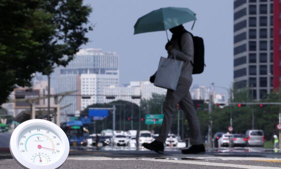 '역대급 폭염' 응급실 간 환자 전년 2배 넘었다…하루새 100명 육박