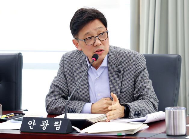 안광림 국힘 성남시의원, 당원권 정지 6개월…의장 출마 좌절