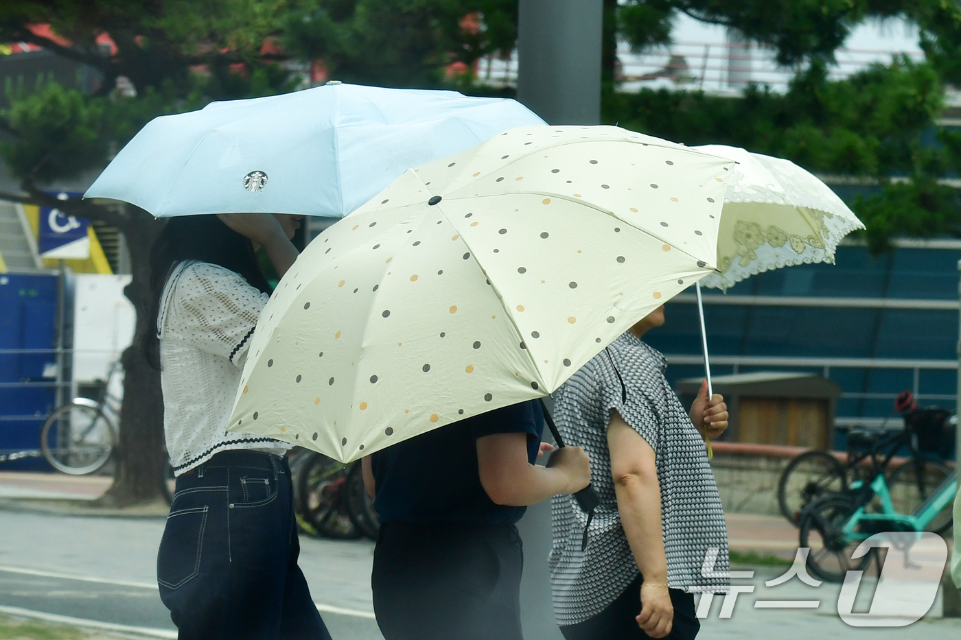 (포항=뉴스1) 최창호 기자 = 8일 오후 경북 포항시 북구 영일대해수욕장에서 양산을 쓴 관광객들이 횡단보도를 건너가고 있다.  2025.7.8/뉴스1