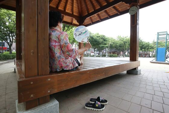사람도 가축도 '숨 막힌 폭염'…지자체 '비상 대응' 분주(종합)