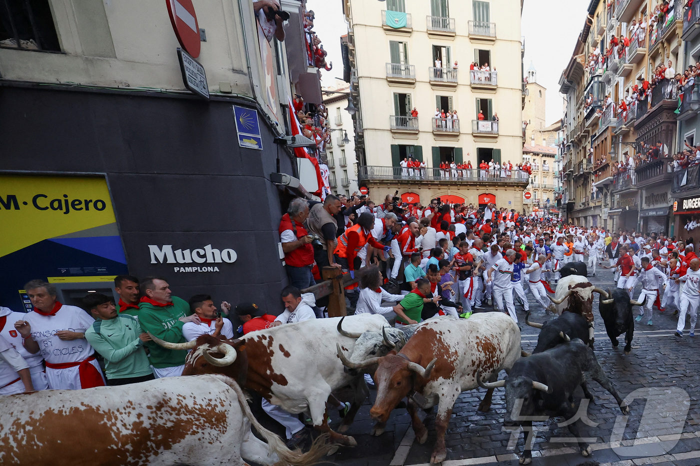 (팜플로나 로이터=뉴스1) 최종일 선임기자 = 8일(현지시간) 스페인 팜플로나에서 열린 '산 페르민 소몰이 축제'에서 참가자들이 질주하는 소들을 피하는 모습이다. 2025.07.0 …