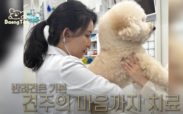 미모의 수의사가 말하는 내 반려견, 장수견 만들기 비결은 '이것'