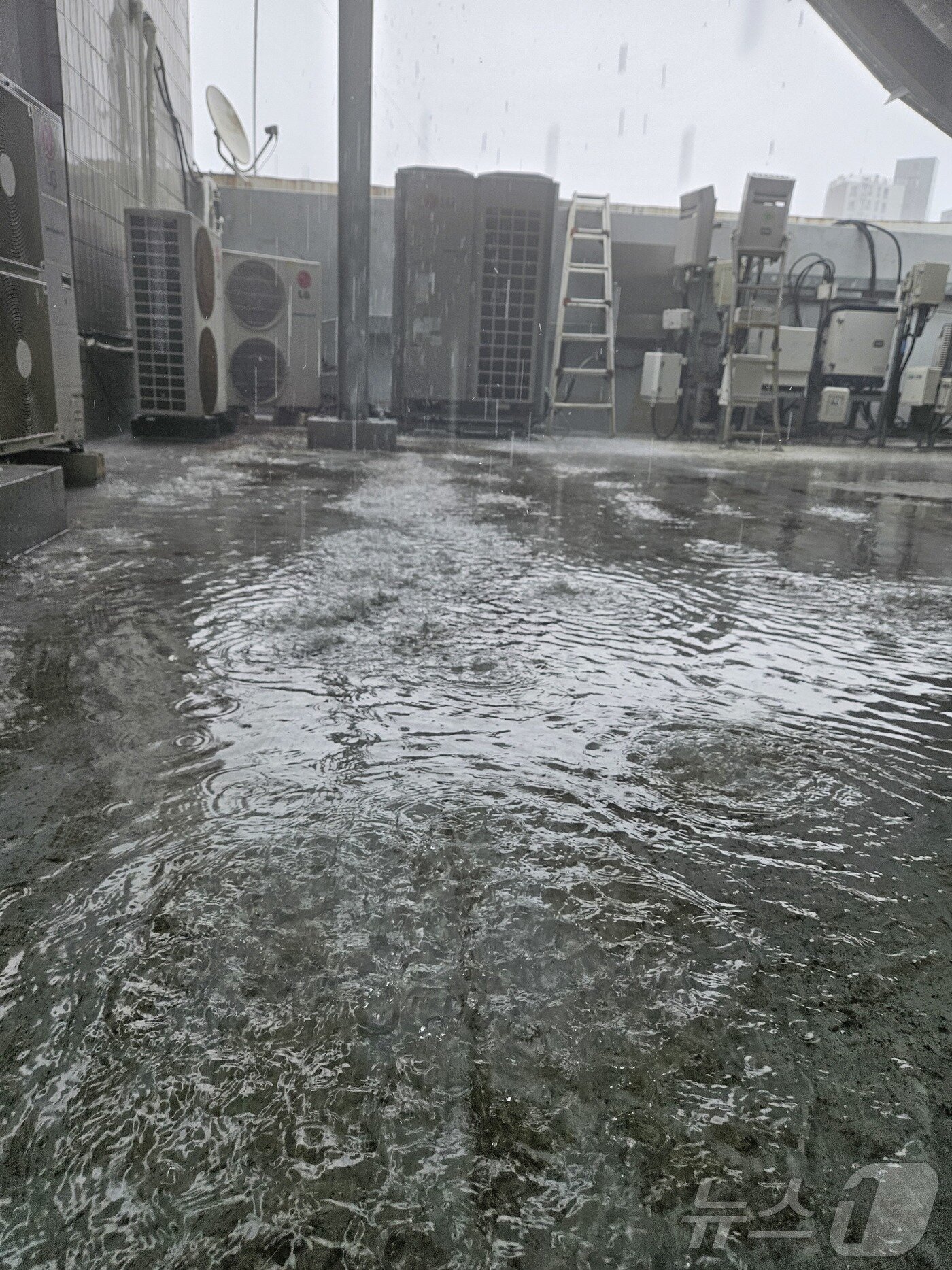 본문 이미지 - 지난 8일 비만 오면 빗물이 고이는 제천시청 본관 6층 옥상 한켠에 고압선 전기시설(오른쪽)이 보인다. 2025.7.8./뉴스1 ⓒ News1 손도언 기자 ⓒ News1 손도언 기자