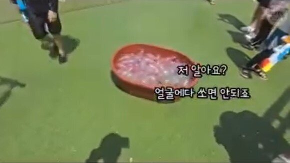 본문 이미지 - (SNS 갈무리)