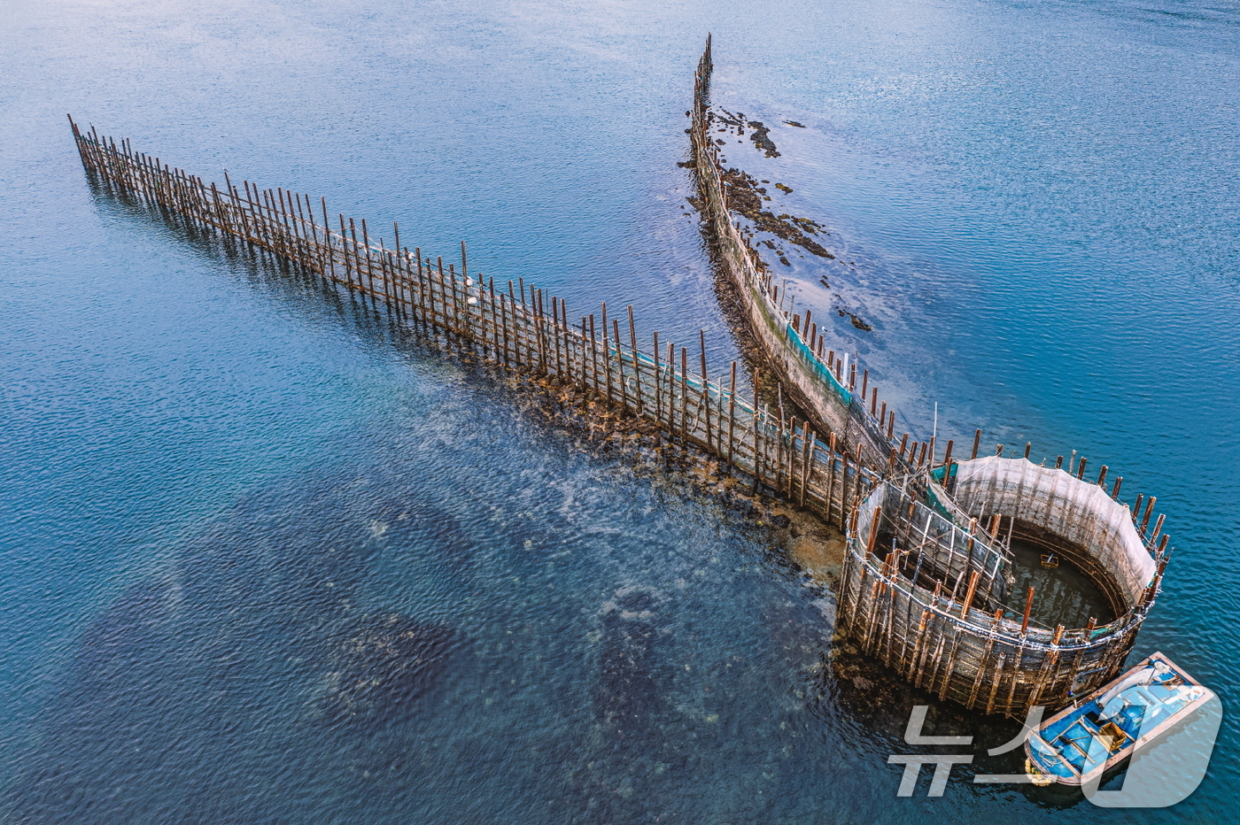 (서울=뉴스1) = 해양수산부는 '남해 지족해협 죽방렴어업'이 9일 세계식량농업기구에서 지정하는 세계중요농업유산'으로 신규 등재되었다고 밝혔다.사진은 설치된 죽방렴 형태 모습. ( …