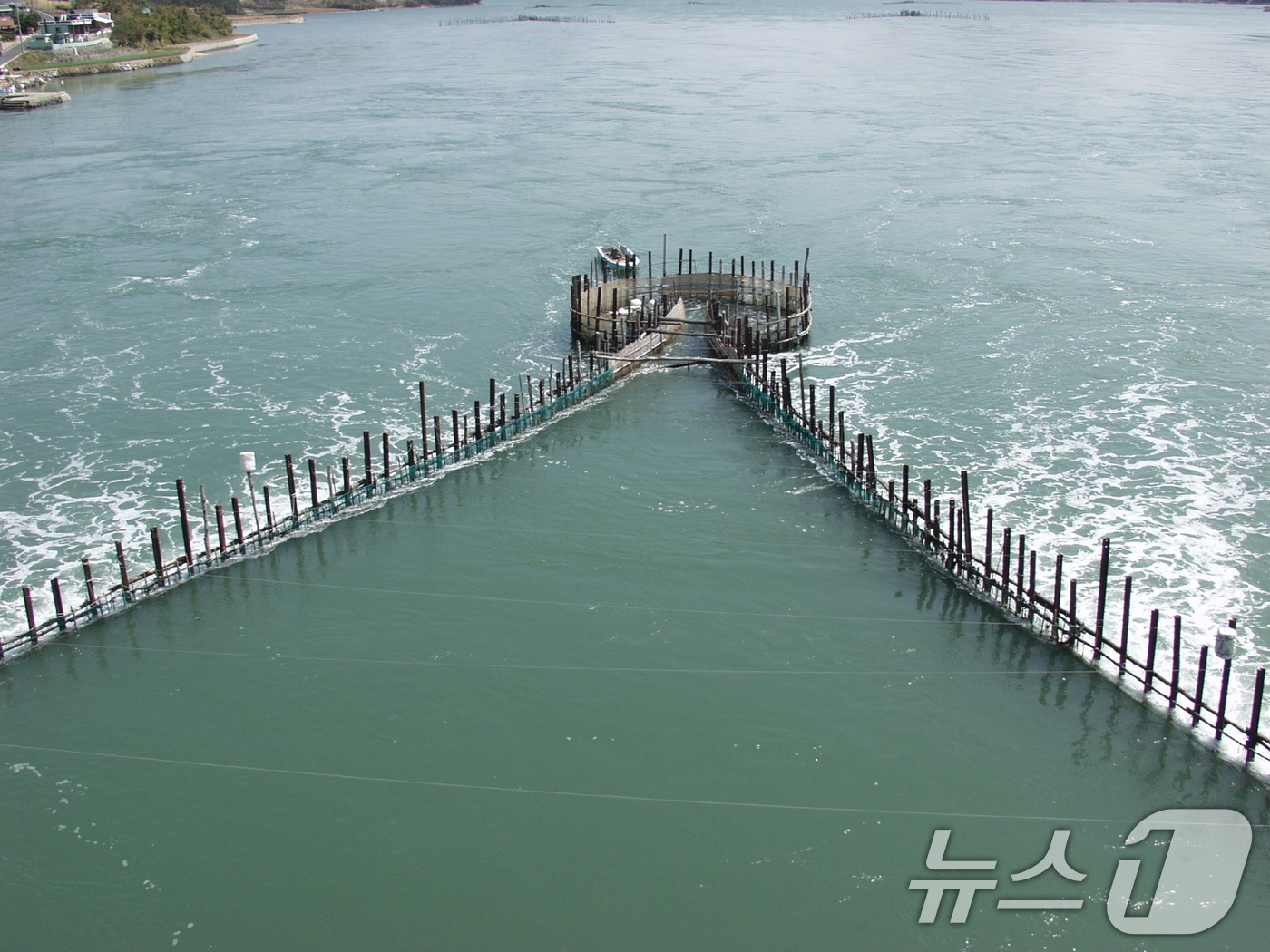 (서울=뉴스1) = 해양수산부는 '남해 지족해협 죽방렴어업'이 9일 세계식량농업기구에서 지정하는 세계중요농업유산'으로 신규 등재되었다고 밝혔다.사진은 설치된 죽방렴 형태 모습. ( …