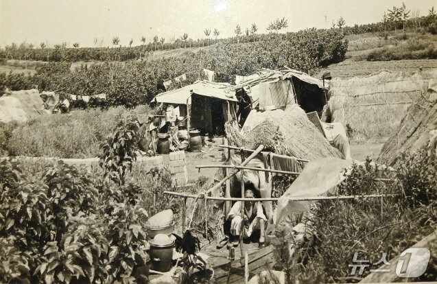 본문 이미지 - 1970년대 김제시 개미마을 모습.&#40;김제시 제공, 재판매 및 DB 금지&#41;/뉴스1