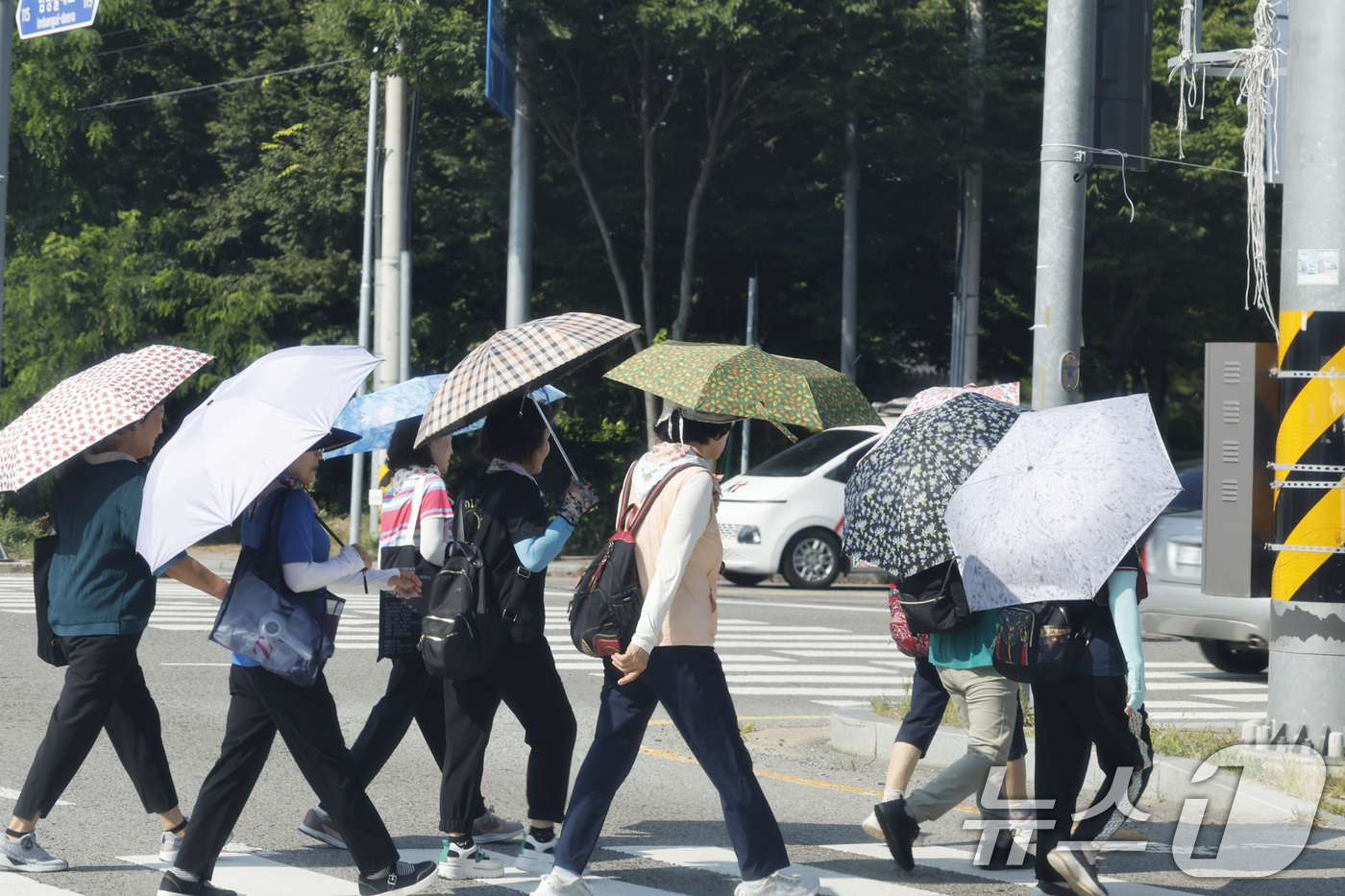 (광주=뉴스1) 김태성 기자 = 역대급 더위가 지속되고 있는 9일 광주 광산구 임방울도로 4거리에 시민들이 더위를 피해 양산을 쓰고 걸어가고 있다. 2025.7.9/뉴스1