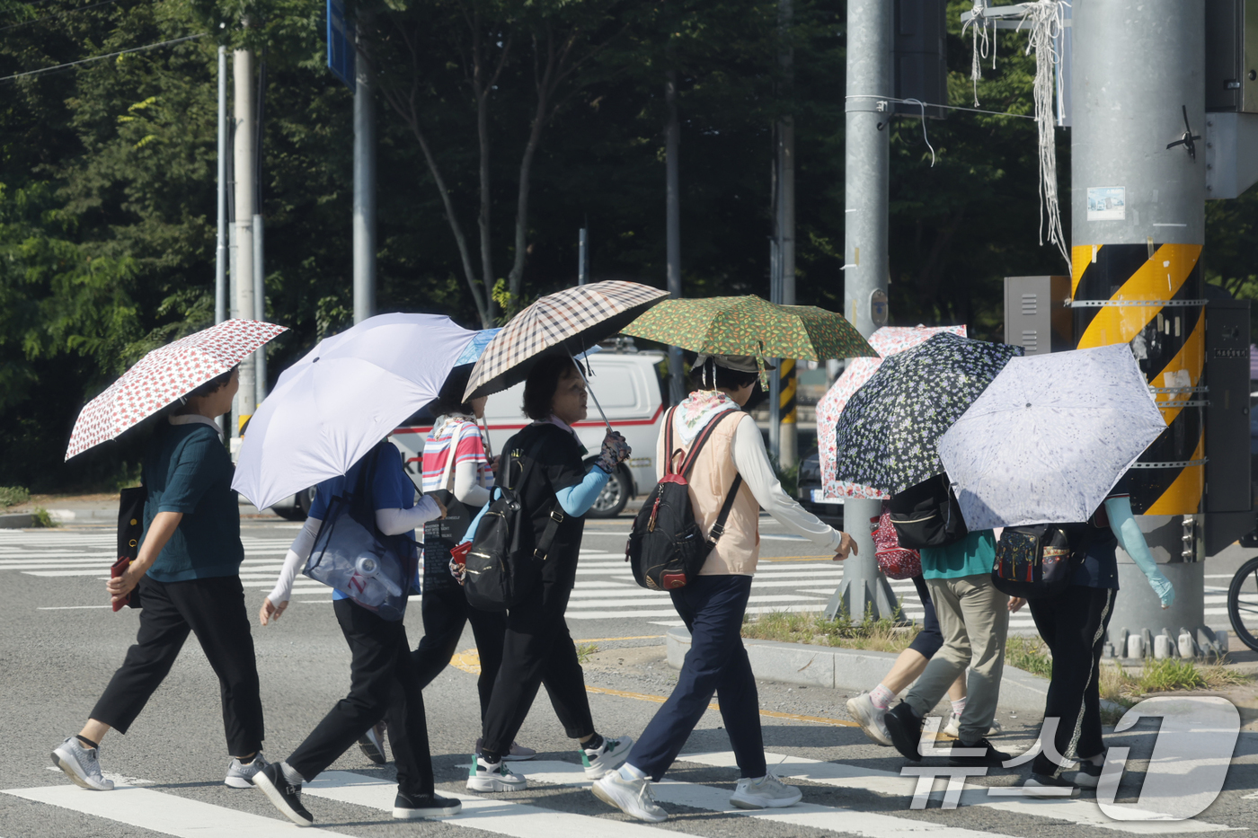(광주=뉴스1) 김태성 기자 = 역대급 더위가 지속되고 있는 9일 광주 광산구 임방울도로 4거리에 시민들이 더위를 피해 양산을 쓰고 걸어가고 있다. 2025.7.9/뉴스1